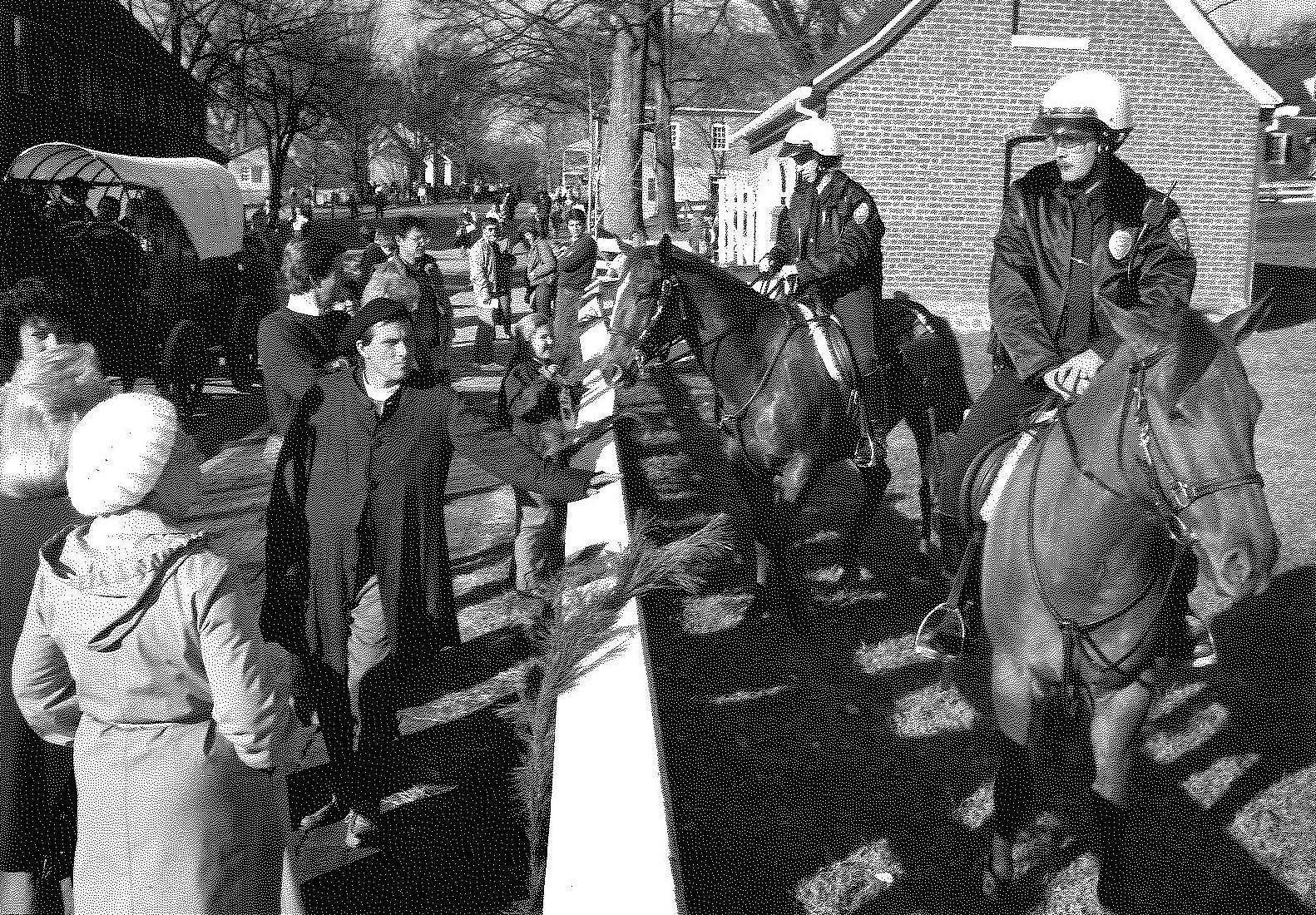 Police horses